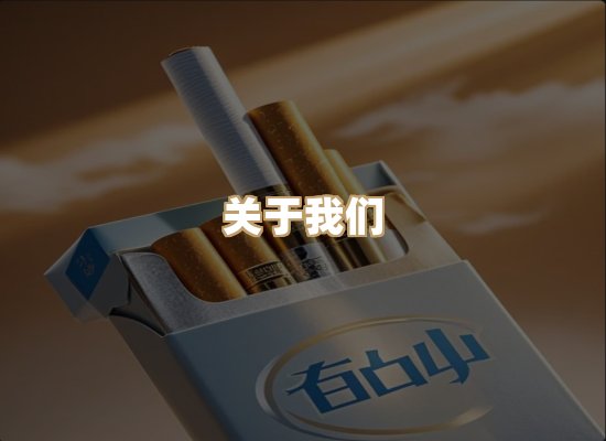 关于蓝帝网
